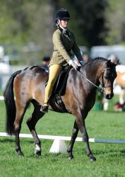 Mounted Showing