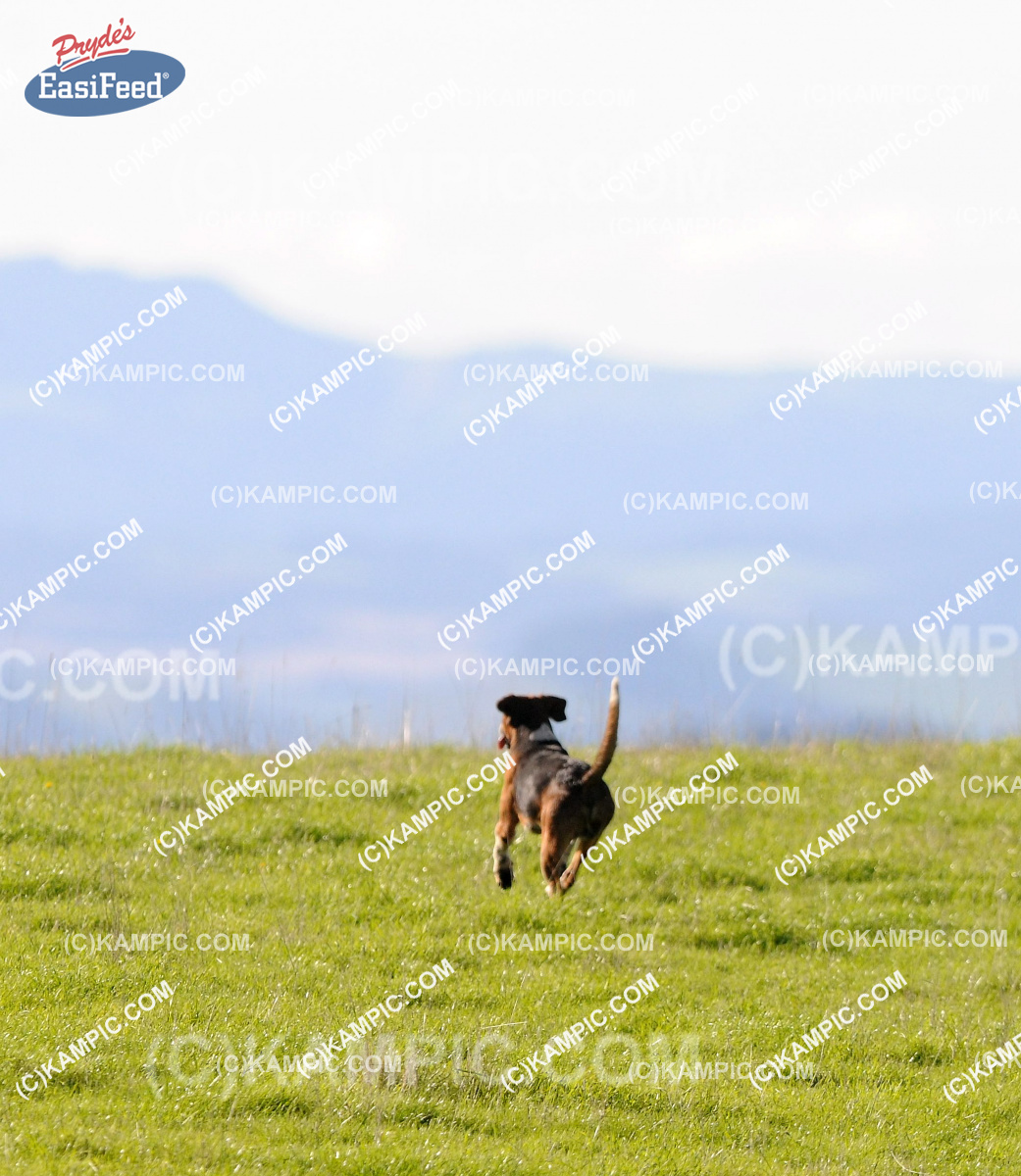 SL_140427_0757