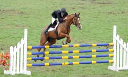 CIC 2 Star Showjumping