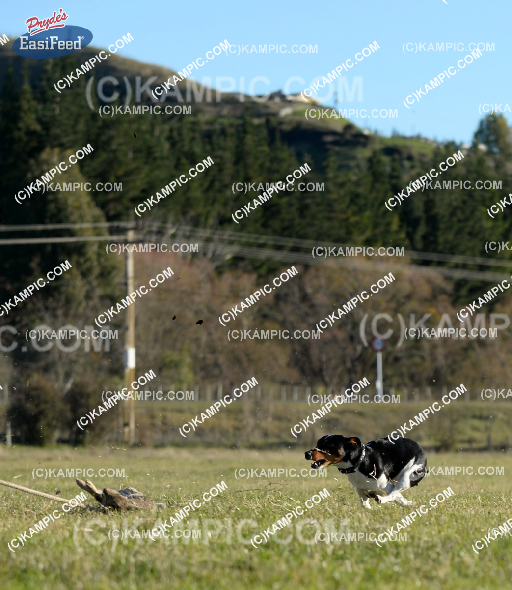 SL_140517_0153