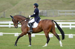 NEC Taupo Spring Horse Trials October 2014