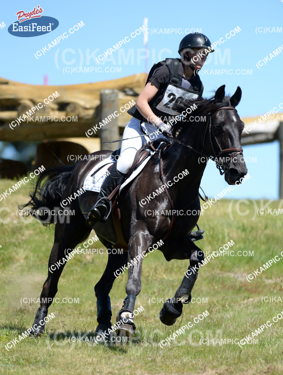 ALDE121014003