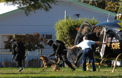 Napier Seige 2009