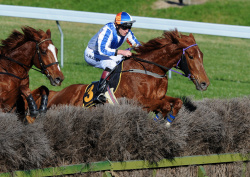 HB Hunt Raceday 2014