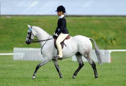 equitation_12yr