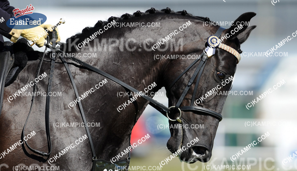 SL_140112_0253
