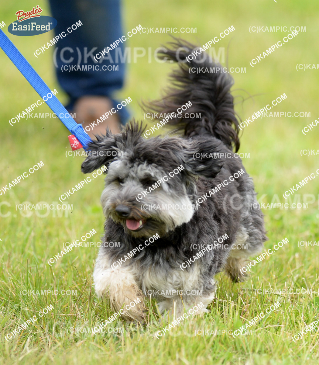 SL_141213_0679