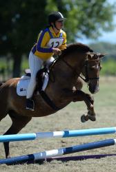 Showjumping