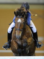 Pony Grand Prix