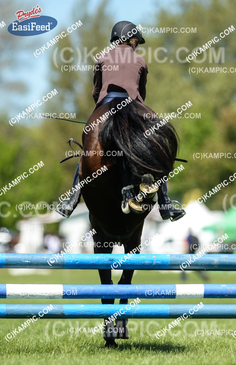 SL_151021_0590