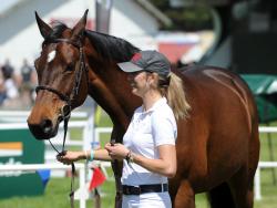 World Cup Trot Up