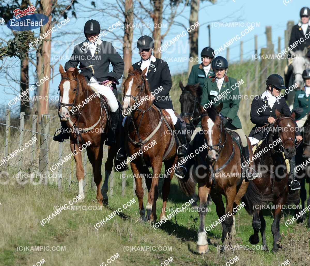 SL_150419_2670