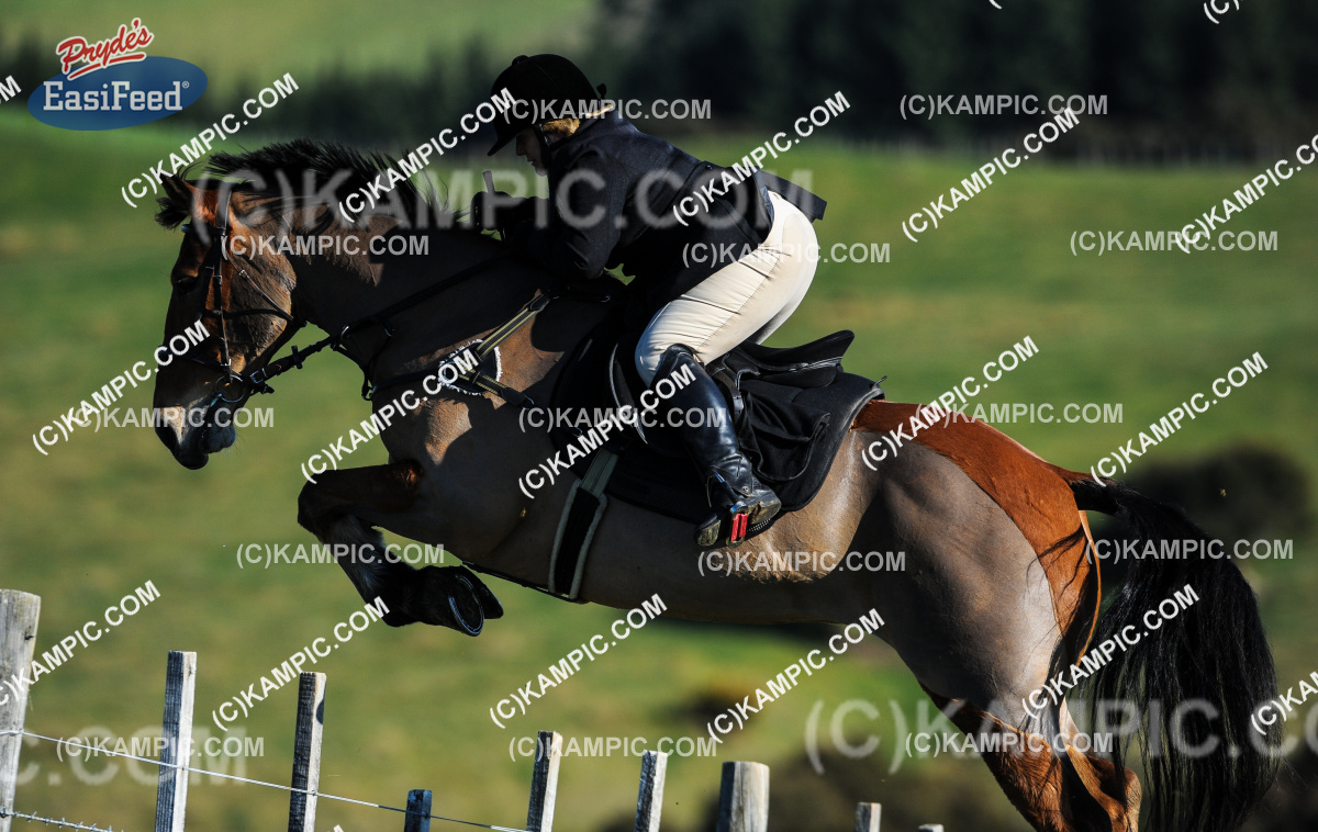 SL_150705_0234