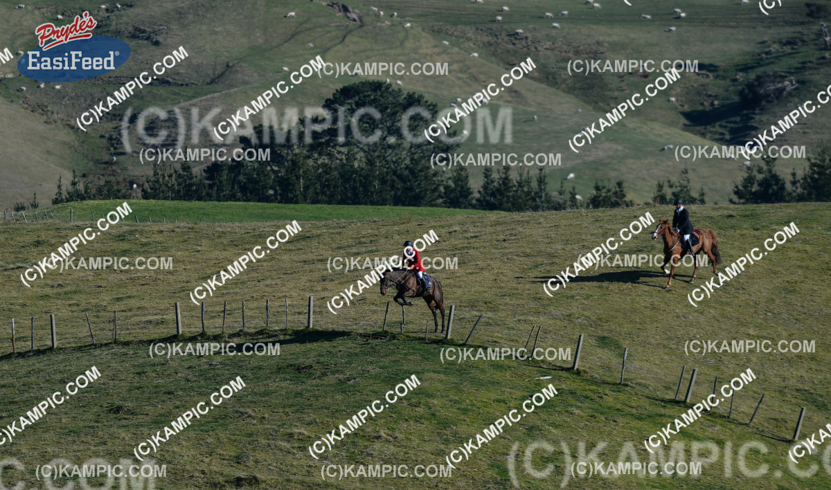 SL_150705_0693