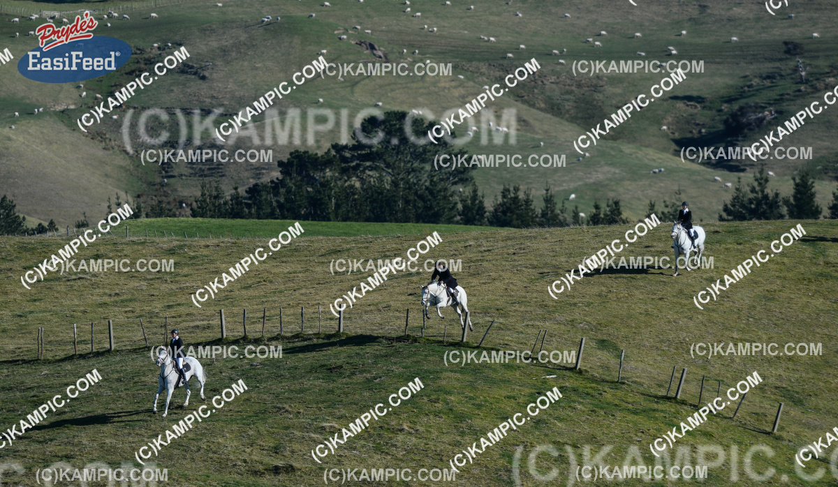 SL_150705_0699