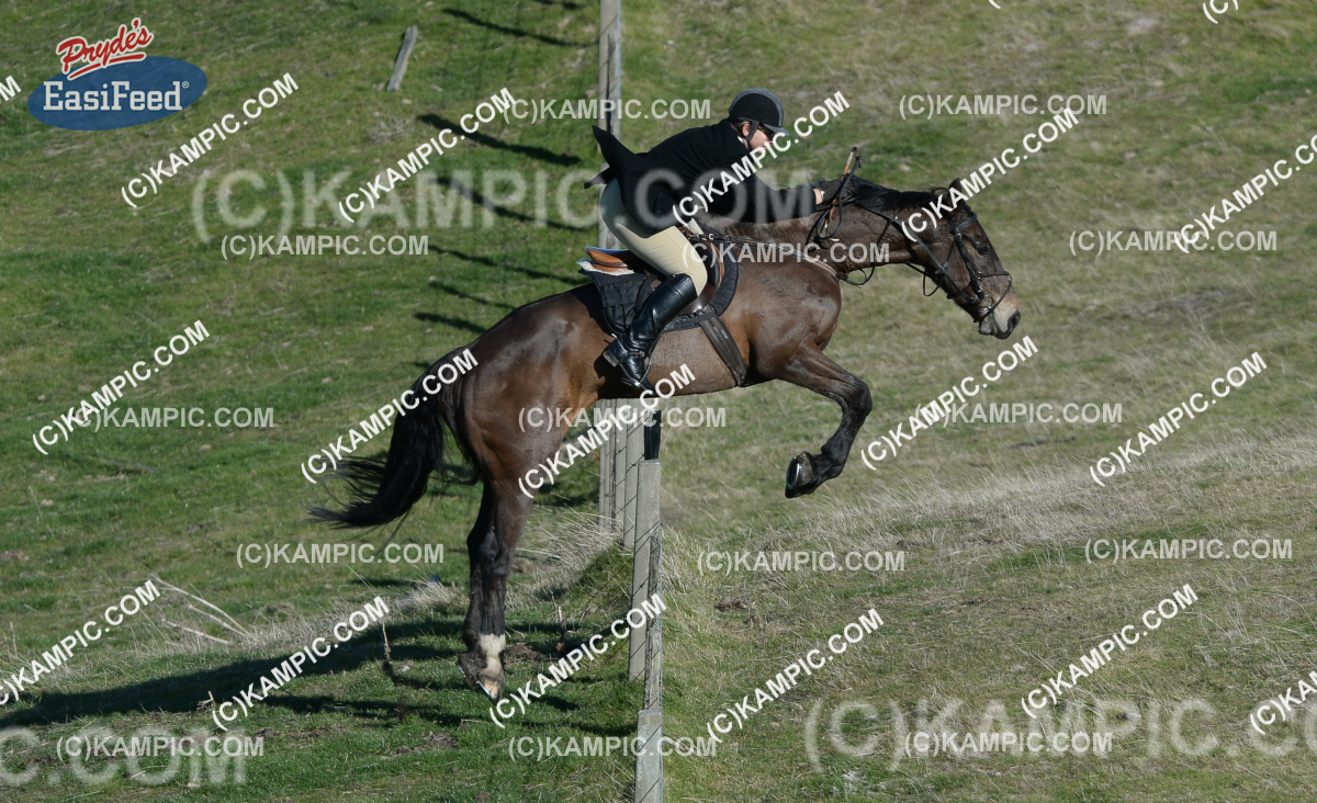 SL_150705_0753