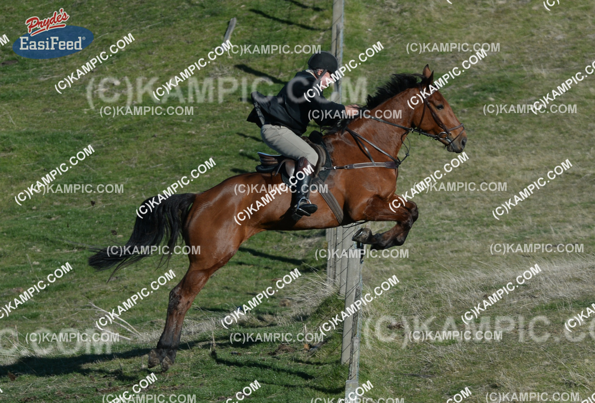 SL_150705_0779