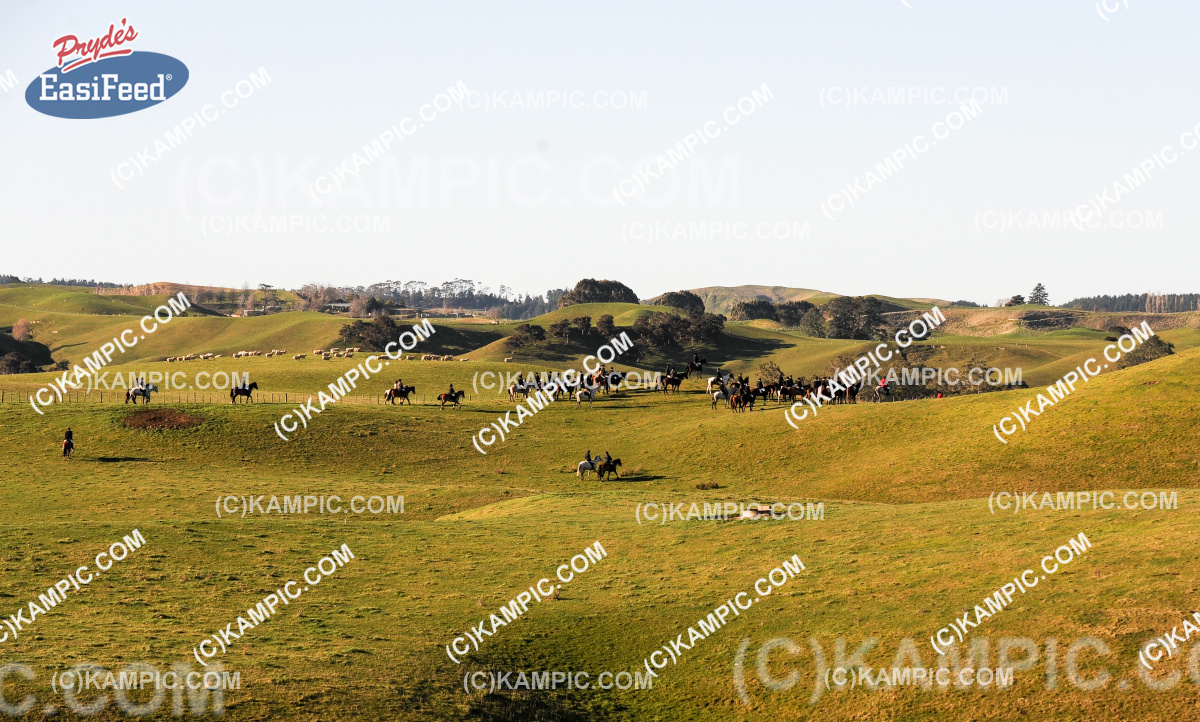 SL_150705_0564
