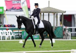 CIC 2 Star Dressage