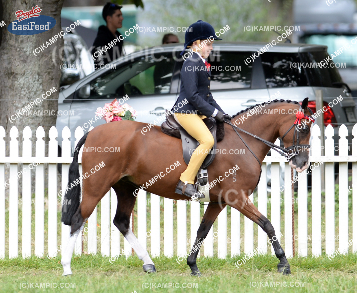 SL_150320_2080