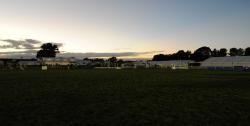 Kaimanawa Heritage Horses