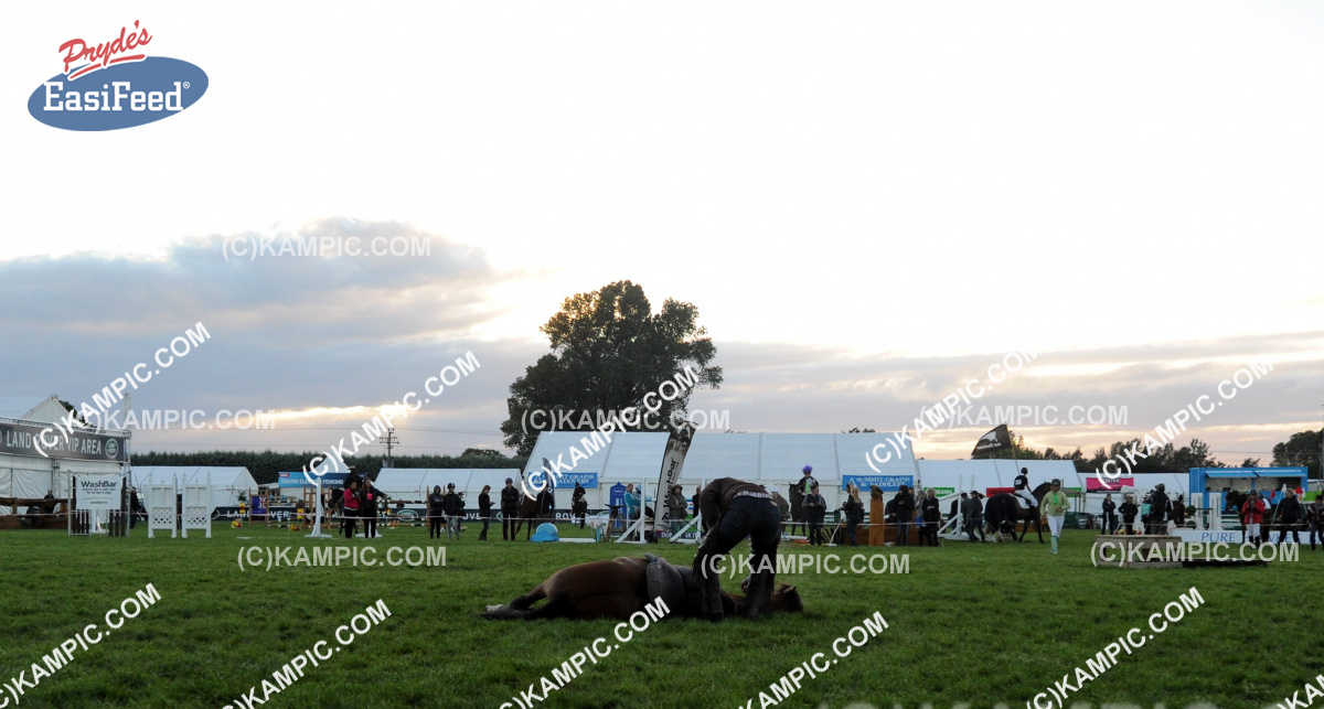SL_150320_0283