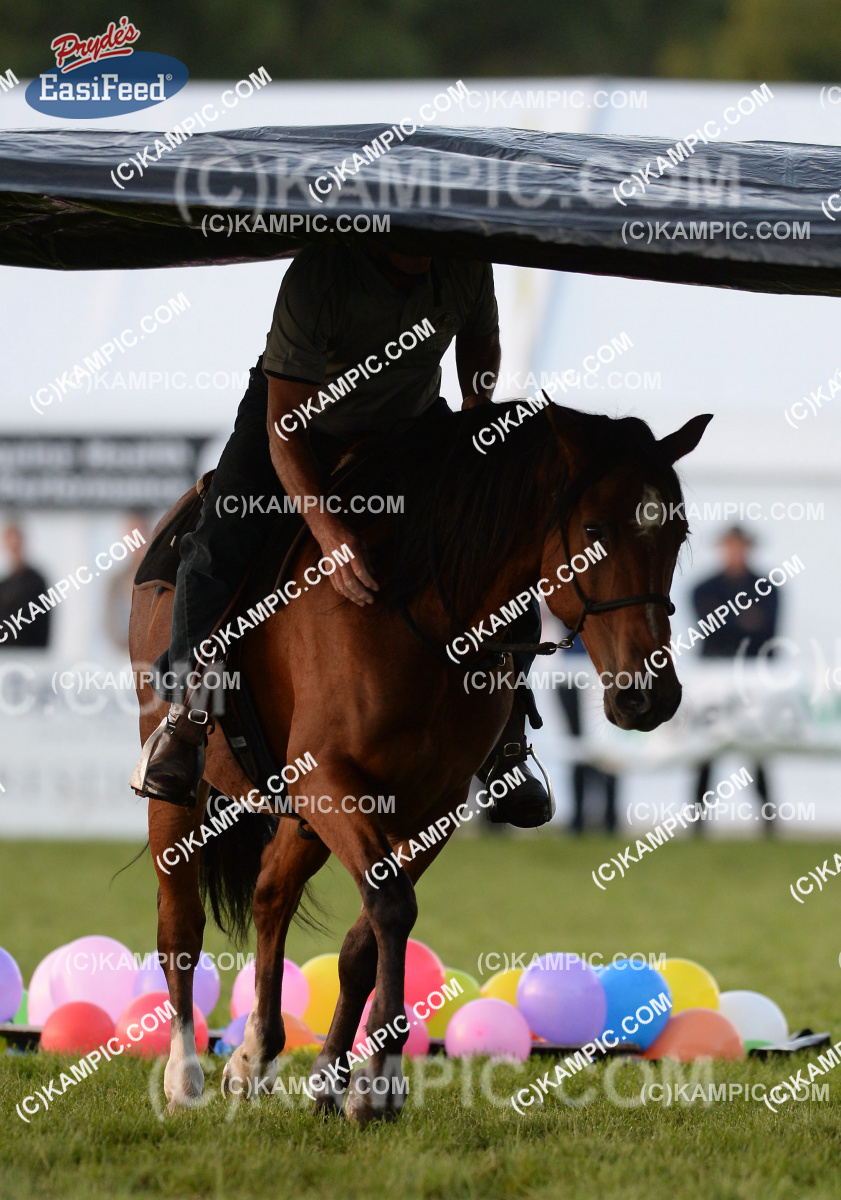 SL_150320_0518