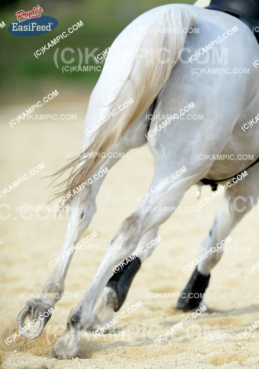 SL_150620_103