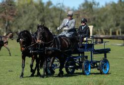 Carriage Driving