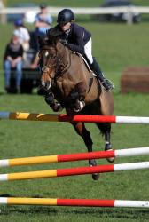 Horse Grand Prix