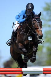 FEI World Jumping Challenge - Category A 1.20 - 1.30m