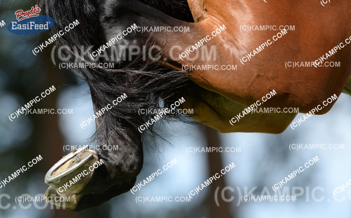 SL_150110_2058