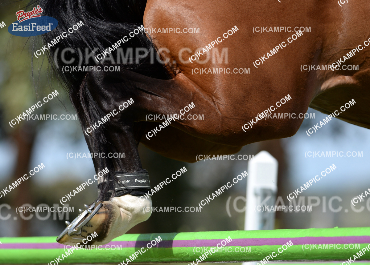 SL_150110_2092