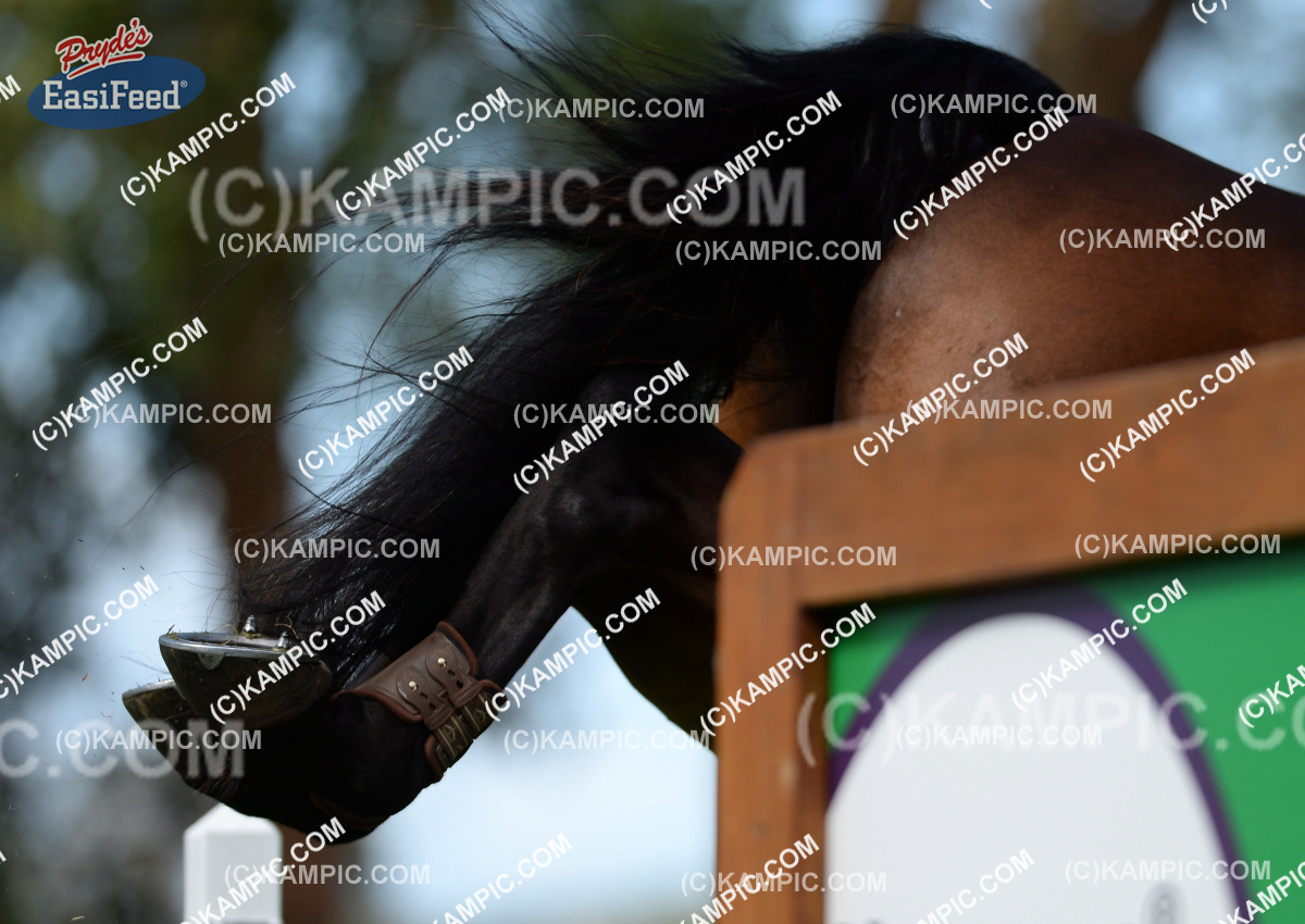SL_150110_2127