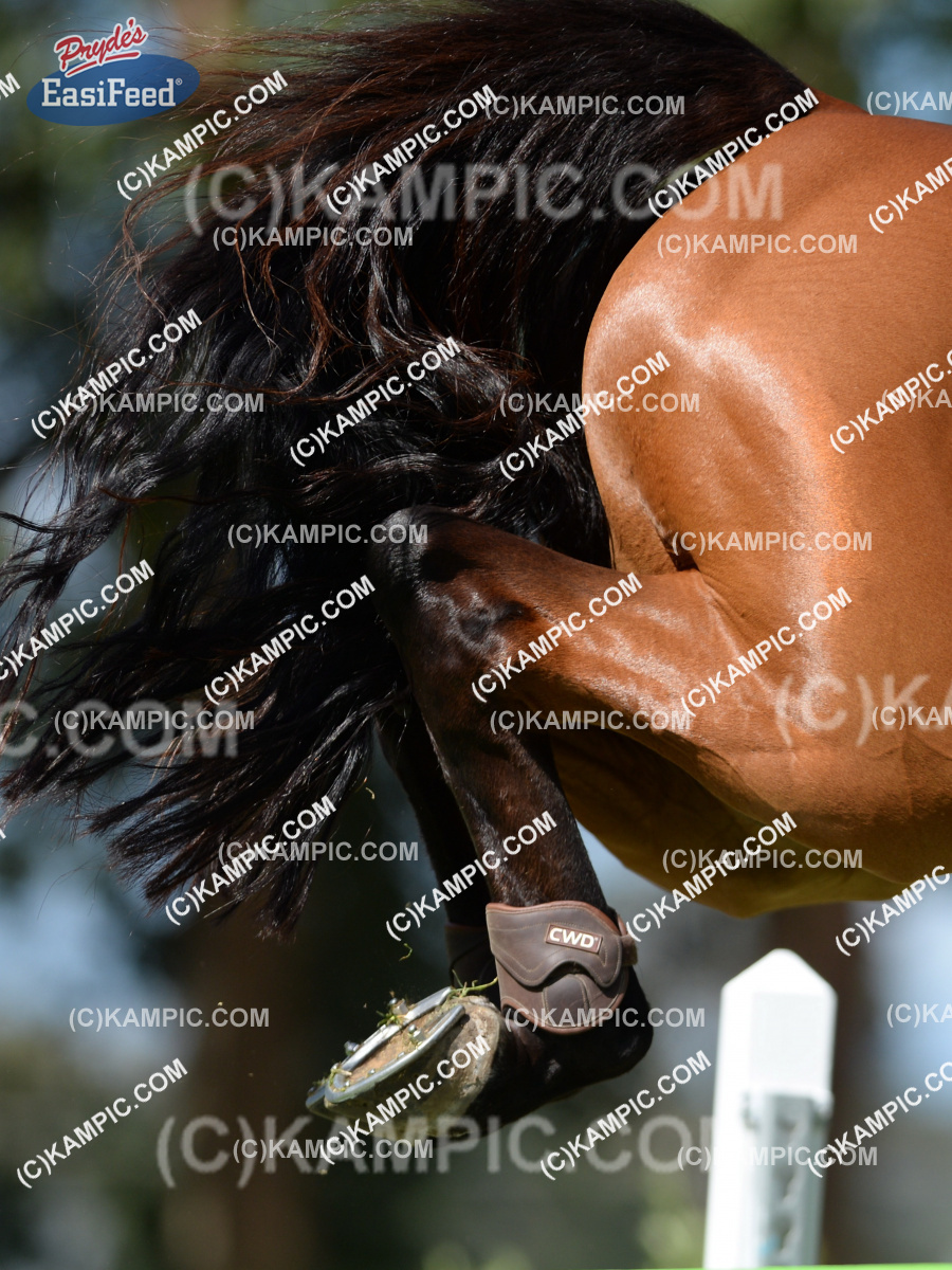 SL_150110_2196