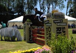 Pony Grand Prix