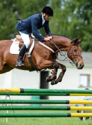 Horse 1.05m