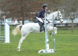 Show Hunter Pony