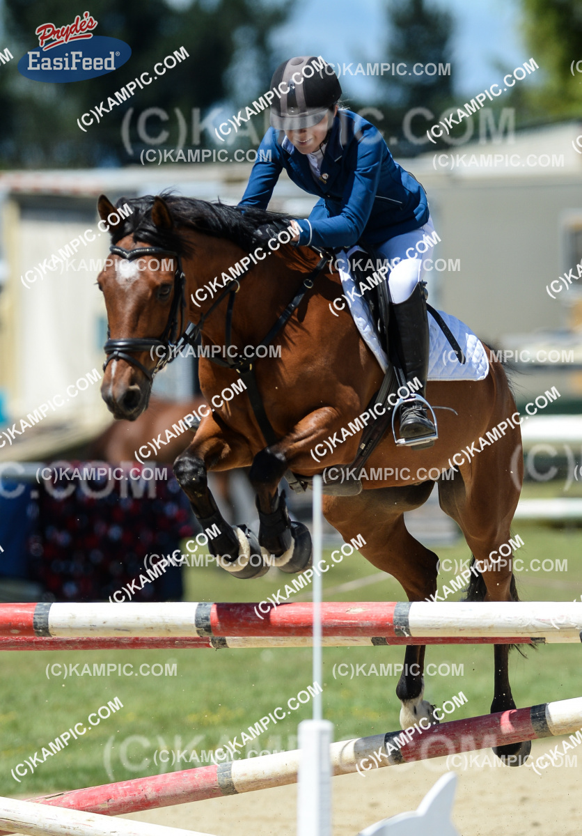 SL_161203_0566