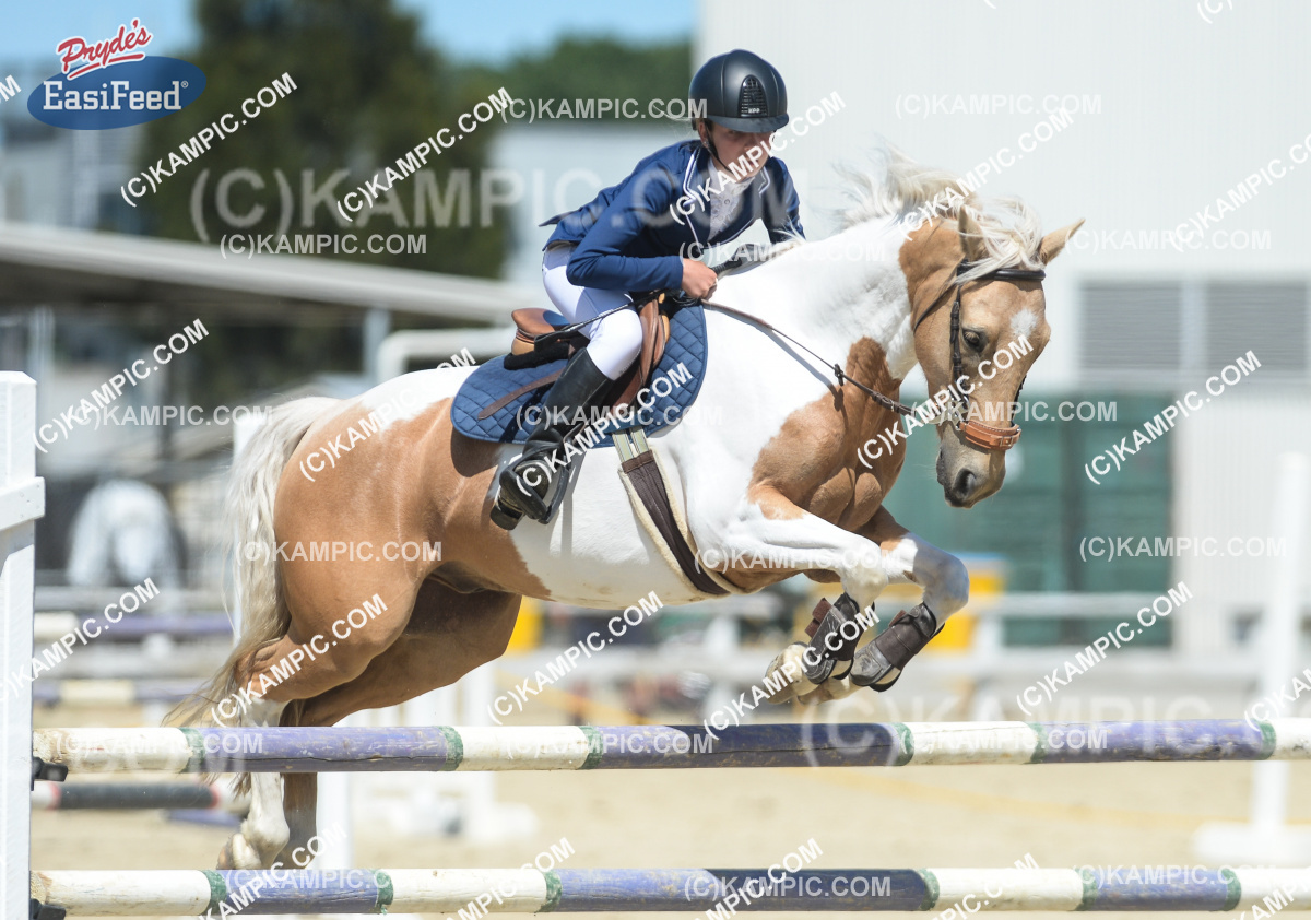 SL_161203_0764