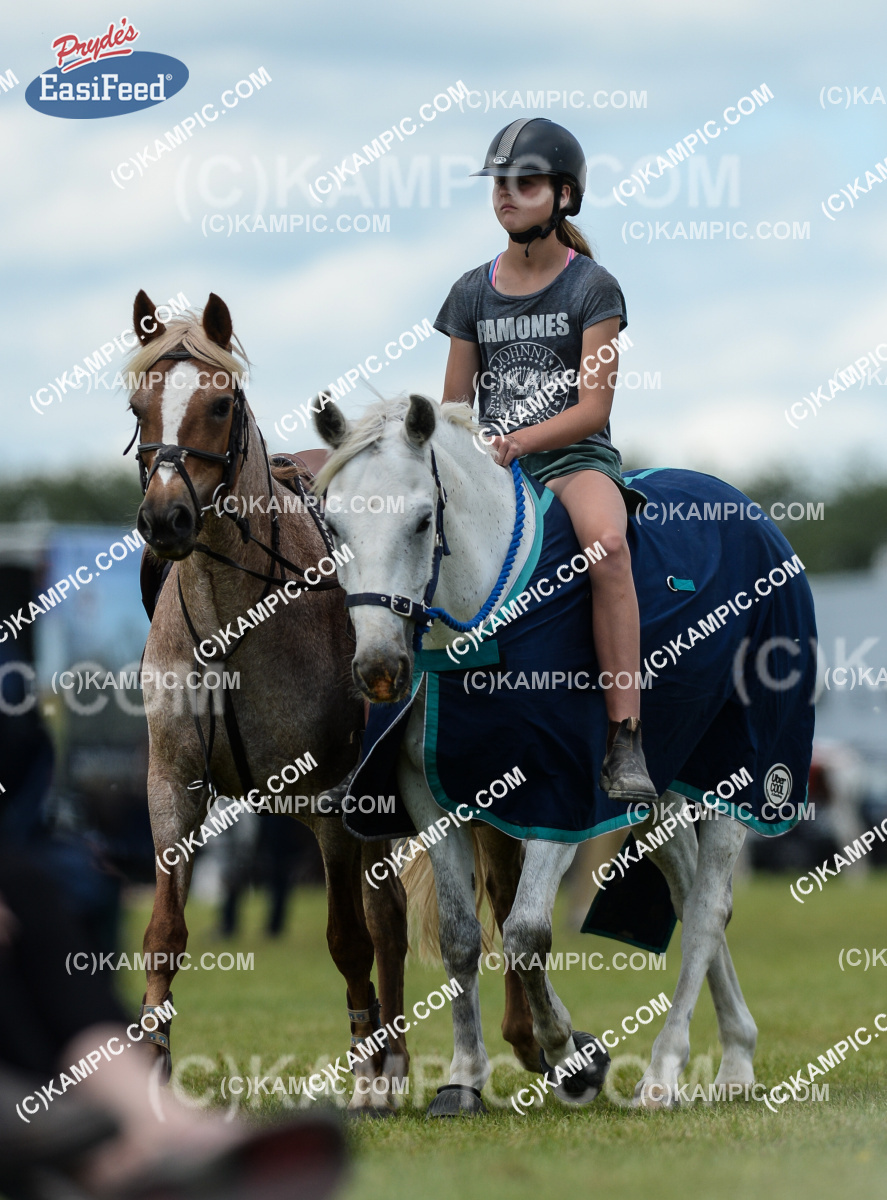 SL_161203_0093