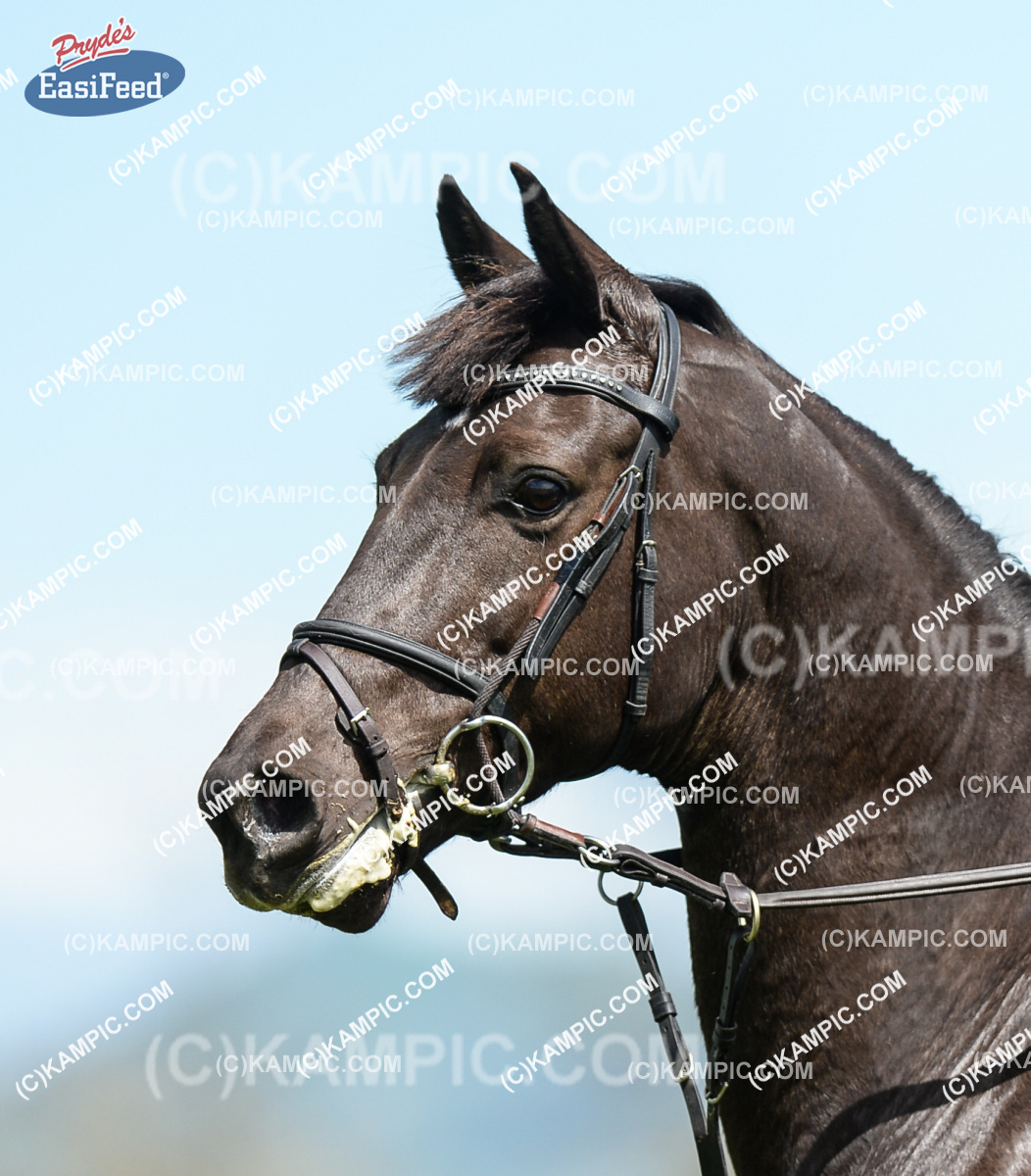 SL_161014_0525
