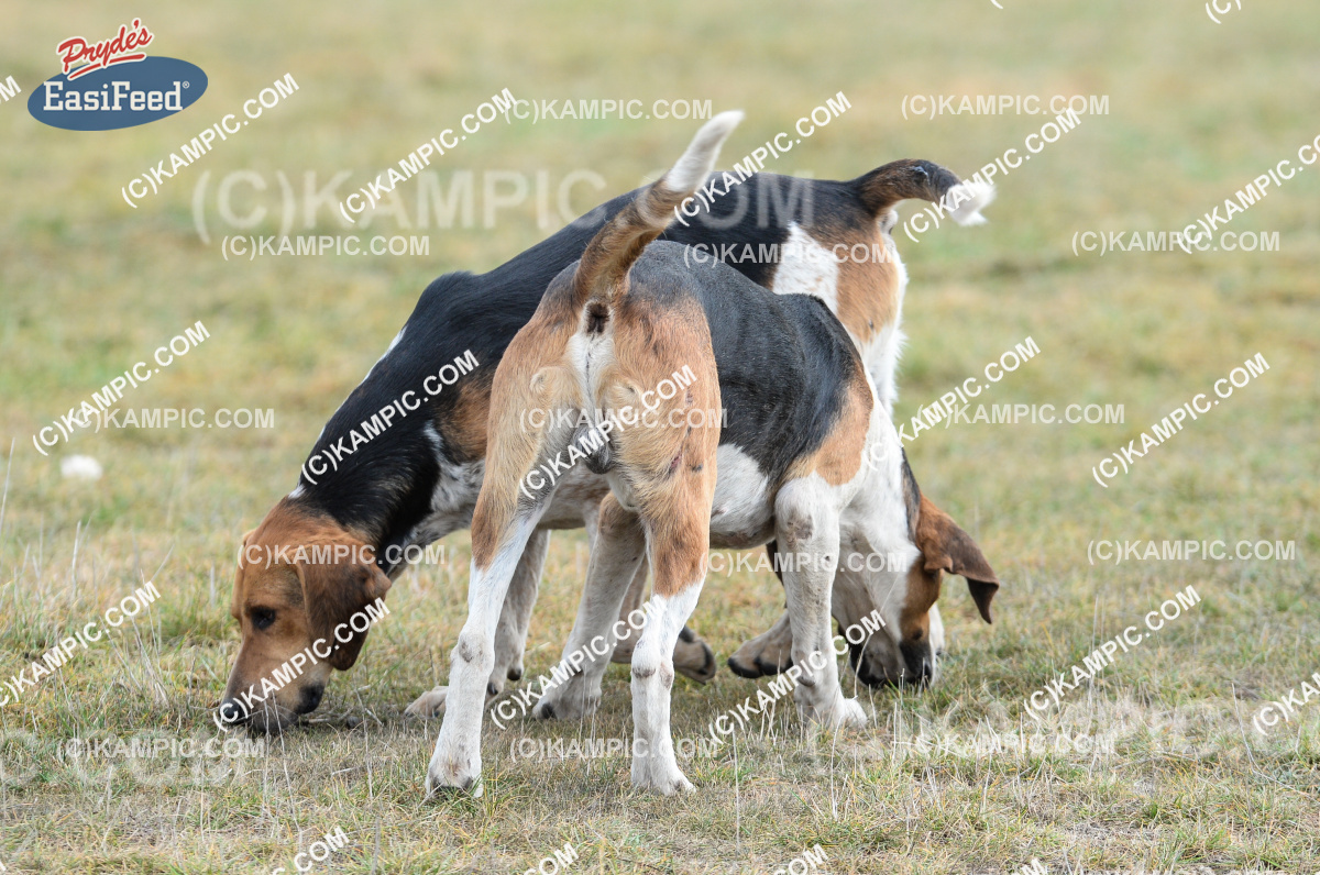 SL_160622_0471