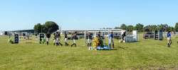 Teams Showjumping