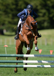 80cm Show Jumping