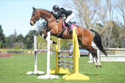 1.10m Show Jumping