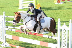 Pony 1.10m