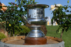 Silver Fern Stakes