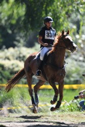 Eventing 3 Star