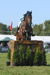 Eventing 4 Star